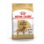 Royal Canin GOLDEN RETRIEVER ADULT 3 кг