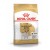 Royal Canin JACK RUSSEL ADULT 500 г