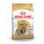 Royal Canin SHIH TZU ADULT 500 г