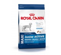 Royal Canin MAXI JUNIOR ACTIVE