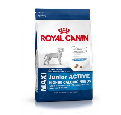 Royal Canin MAXI JUNIOR ACTIVE