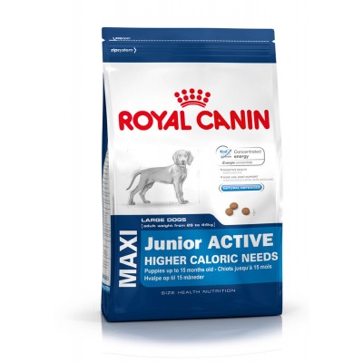 Royal Canin MAXI JUNIOR ACTIVE