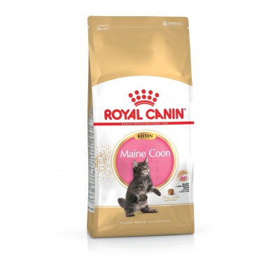 Royal Canin MAINECOON KITTEN (Котята породы мейн кун до 15 мес) 400 г