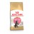 Royal Canin MAINECOON KITTEN (Котята породы мейн кун до 15 мес) 400 г