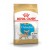 Royal Canin CHIHUAHUA JUNIOR 500 г