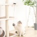 Yo-Yo Cat Toy Інтерактивна іграшка для котів