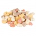 Ласощі для собак Trixie Печиво Cookie Snack Farmies 1,3 кг 31663