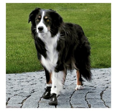 Trixie Черевики для собак Walker Active 19460 / 19467
