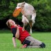 Літаюча тарілка для собак Trixie Dog Activity м'який пластик, 19 см 33561