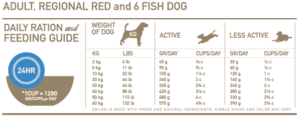adult-RR-6FD-feeding