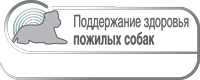 Поддержание здоровья стареющих собак