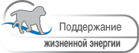Поддержание жизненной энергии