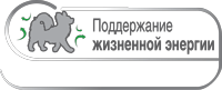 Поддержание жизненной энергии