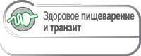 Здоровое пищеварение и транзит