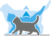 Развитие мышц и костей