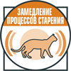 Замедление процессов старения